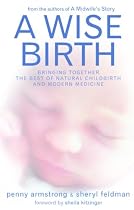 A Wise Birth: Bringing Together the Best of Natural Childbirth and Modern Medicine