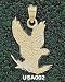 Us Air Force Academy Falcon 3/4 Charm/Pendant -14K/10K, Stainless Steel or Gold Plated