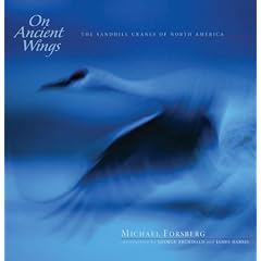 On Ancient Wings: The Sandhill Cranes of North America (Natural History)