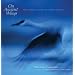 On Ancient Wings: The Sandhill Cranes of North America (Natural History)