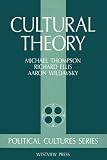 Cultural Theory (Political Cultures Series)