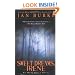 Sweet Dreams, Irene: An Irene Kelly Novel