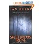 Sweet Dreams, Irene: An Irene Kelly Novel