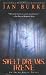 Sweet Dreams, Irene: An Irene Kelly Novel