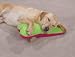 Zanies MEGA Colossa-Bone Jumbo Berber Bone Large Plush Dog Toy Bed Pillow Pink/Green
