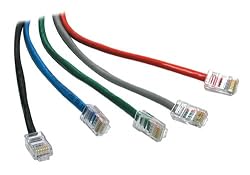 Cables To Go - 24348 - Multi-pack 3ft CAT5E 350Mhz  Assembled Cable Blue 25Pk