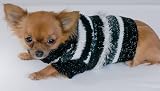 Party Time Sweater - Extra Small - Black & White