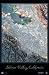 Silicon Valley, California Satellite Print, 24