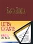 Letra Gigante Santa Biblia-RV 1960 = Giant Print Holy Bible-RV 1960 (Spanish Edition)