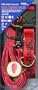 DETROIT RED WINGS NHL Dog Pet Leash Collar ID Tag Set M
