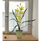 New Artificial Cymbidium Orchid Flower Arrangement Green Beautiful Amazing Attractive