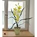 New Artificial Cymbidium Orchid Flower Arrangement Green Beautiful Amazing Attractive