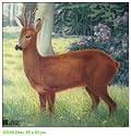 JVD Target Face - Deer - 80301