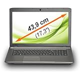 MEDION AKOYA E7223 (MD 99006) 43,9cm (17,3" Zoll) Notebook (Intel Core i3-3110M, 2.40GHz, 8GB RAM, 1TB HDD, Win. 8.1) titan