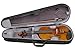 Signature Music Antiqued Finished 4/4 Hi-grade Violin W/ Ebony Fittings New 3118PO