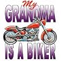 Grandma/Biker Youth Sweatshirt