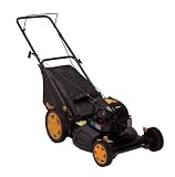 41CWE H1MwL. SL160  Welcome to Poulan Lawn Mowers Review
