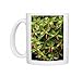 Photo Mugs of DAD-1982 Cigar plant from Ardea Wildlife Pets