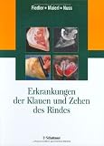 Erkrankungen der Klauen und Zehen des Rindes