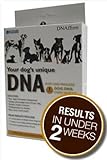 DNA MY Dog Canine Breed Identification Test