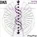 DNA Activation LevelOne #2 [CD on Demand]
