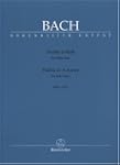 Partita a-Moll f�r Fl�te Solo BWV 101...