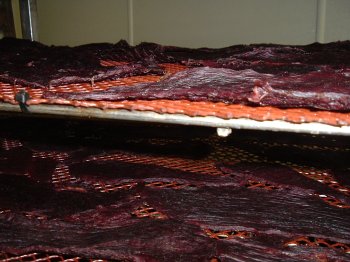 Smokehouse Fresh Nebraska Beef Jerky!!! 1# by Garvin