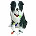 Sandicast Ornament - Border Collie, Black/White