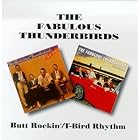 Butt Rockin' T-Bird Rhythm by  Fabulous Thunderbirds 