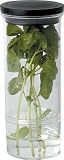Kitchen & Housewares : Progressive International Herb Keeper