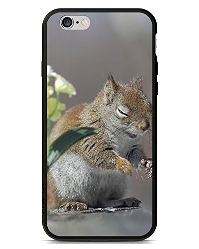 Lovers Gifts Excellent iPhone 5/5s Case Tpu Cover Back Skin Protector Squirrel laughter 9654094ZE388656381I5S