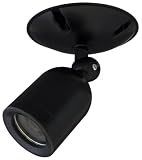 Net Media NM-MODCAM-HB Indoor/Outdoor Modulated CAM Day/Night Color Video Camera (Black)