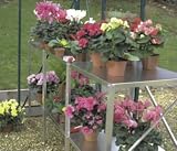 Juliana Greenhouse Staging Table 3 Section