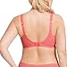 Sculptresse by Panache Women's Plus-Size Pure Lace Molded Non Padded T-Shirt Bra