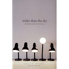 Wider Than the Sky