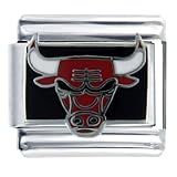 Nba Chicago Bulls Pugster