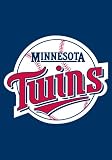 Minnesota Twins Mini Garden Flag - GFMIN