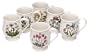 Portmeirion Botanic Garden Bristol Mug, Set of 6