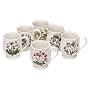 Portmeirion Botanic Garden Bristol Mug, Set of 6