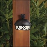 41CX9HBCDsL. SL160  Low Voltage Deck Light Reviews