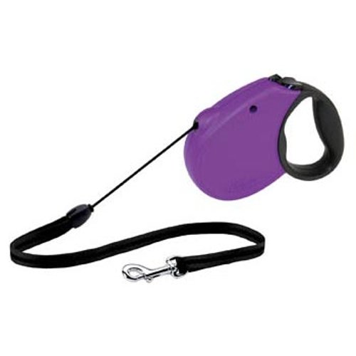 flexi large retractable leash