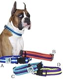 Animal Planet Quick Snap Cushy Pet Collar 1-in Large (18-in to 26-in) Blue/Light Blue