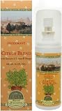 Citrus Blend with Extracts of Lemon & Orange by Speziali Fiorentini 3.3 oz Deodorant Spray