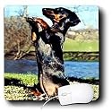 Dogs Dachshund - Dapple Dachshund - Mouse Pads