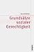 Grundsätze sozialer Gerechtigkeit (Theorie und Gesellschaft)