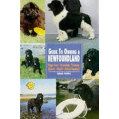 Guide to Owning a Newfoundland (Re Dog)