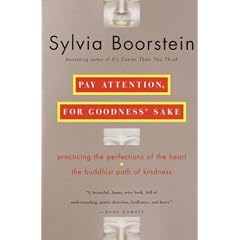 Pay Attention, for Goodness' Sake: The Buddhist Path of Kindness