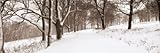 IMAGE OF First Snow I MUSEUM WRAP CANVAS Print With Added Heavy BRUSHSTROKES Mike Sleeper 36x12