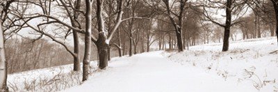 First Snow I MUSEUM WRAP CANVAS Print With Added Heavy BRUSHSTROKES Mike Sleeper 36x12