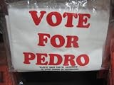 Vote for Pedro Halloween Costume